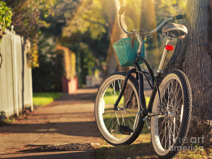 Transportation Photograph - Bicycle on sunny street by Konstantin Sutyagin