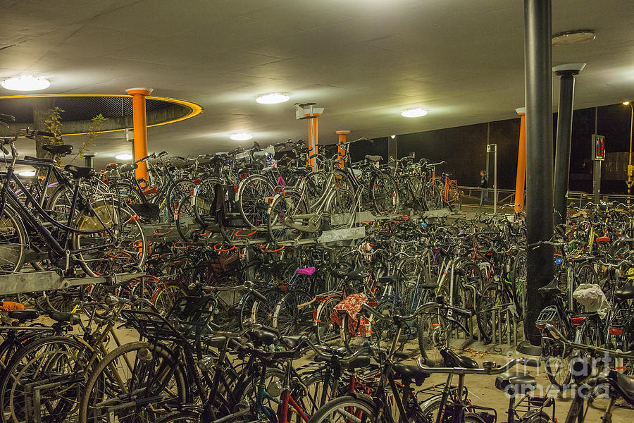 Bicycle parking in the Netherlands Photograph by Patricia Hofmeester