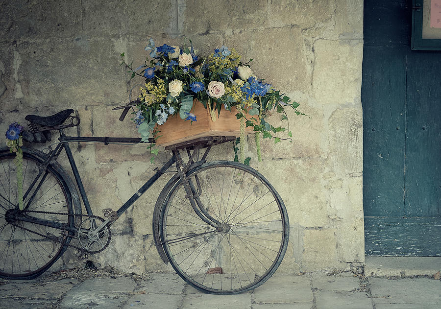Bicycle Photograph by Photogodfrey