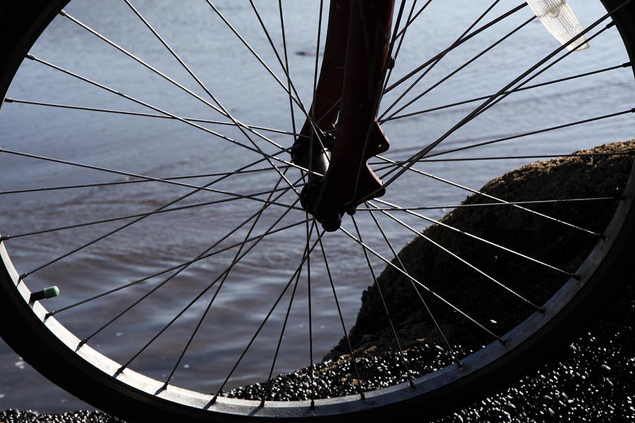 Bicycle Wheel  Photograph by Aidan Moran