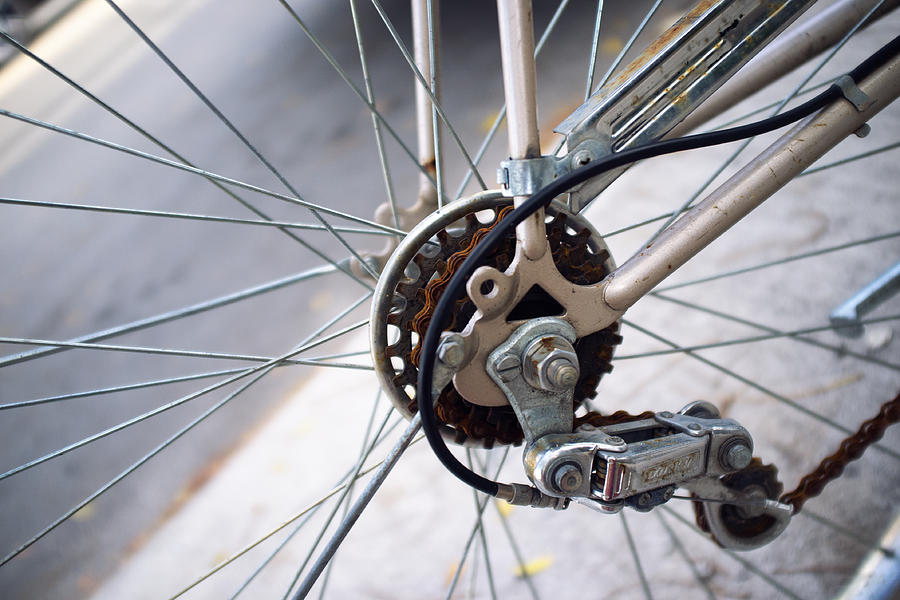 Bicycle Wheel Photograph