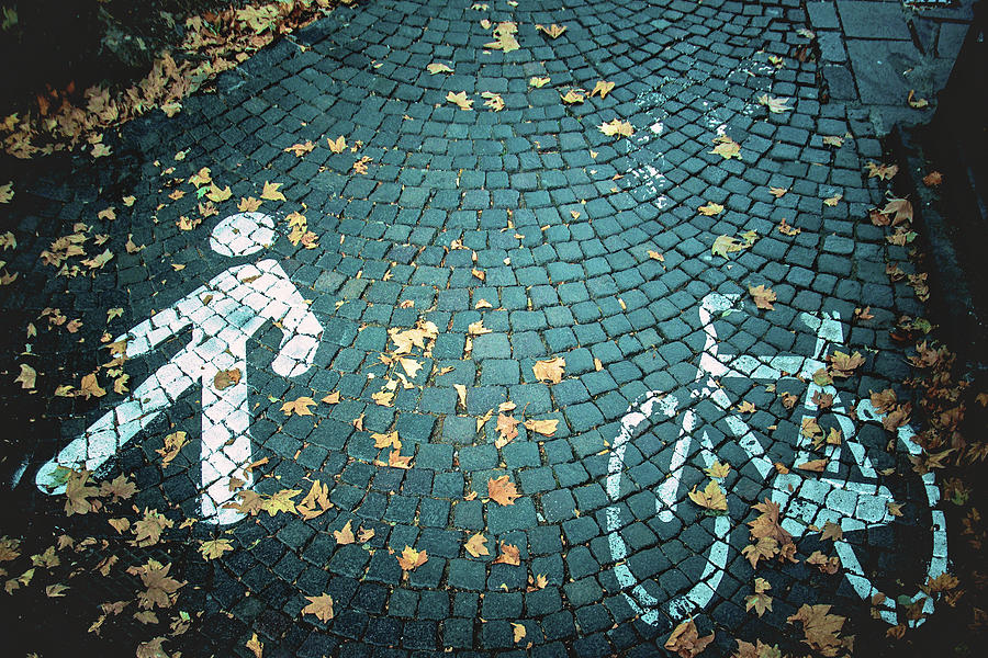 Bicycles And Pedestrians Street Markings Photograph by Nora Bo