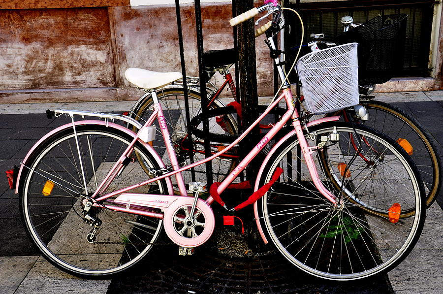 Bicycles at Rest Photograph by Caroline Stella