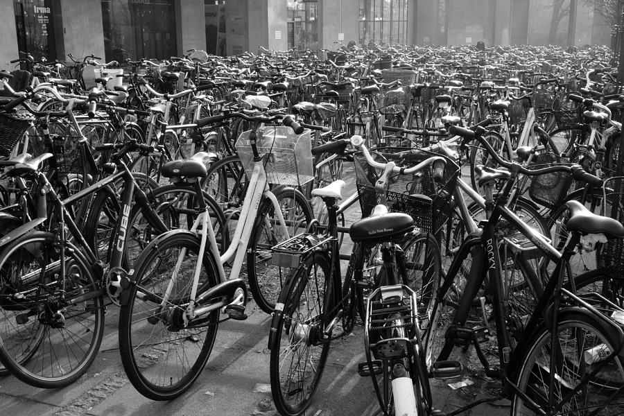 Bicycle Photograph - Bicycles Bicycles and more Bicycles by Inge Riis McDonald