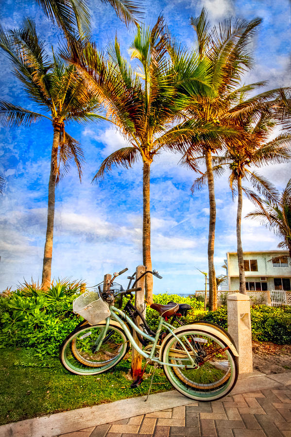 Juno Photograph - Bicycles Under the Palms by Debra and Dave Vanderlaan