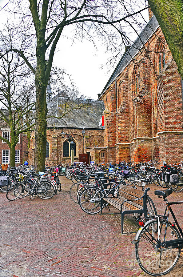 Bicycling to Church Photograph by Elvis Vaughn