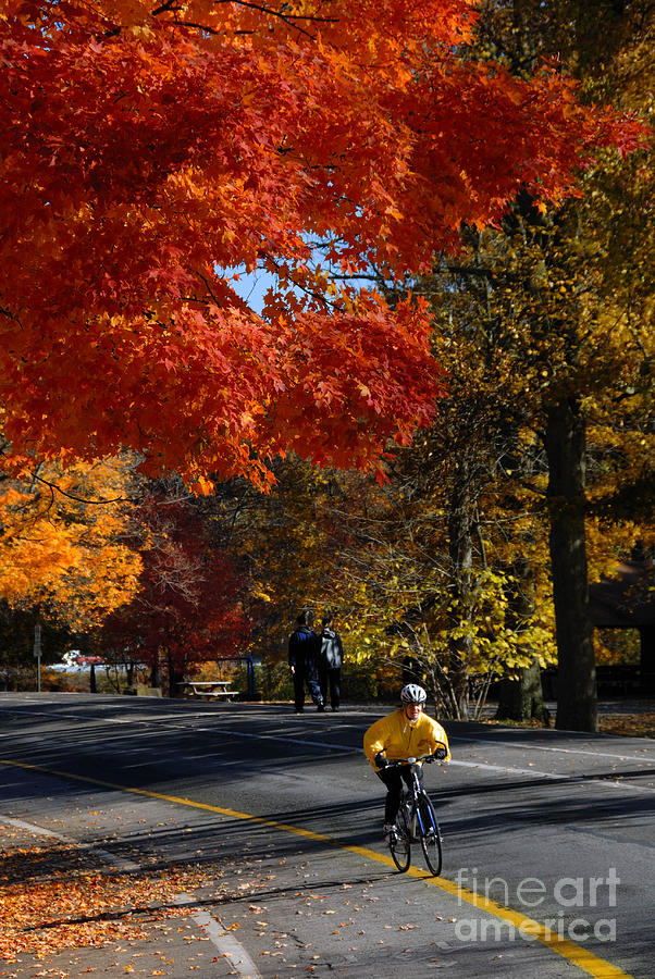 Fall Photograph - Bicyclist in Park during Autumn by Amy Cicconi
