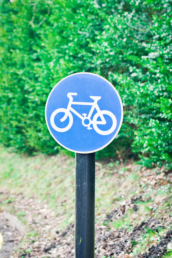 Transportation Photograph - Bicyle route by Tom Gowanlock
