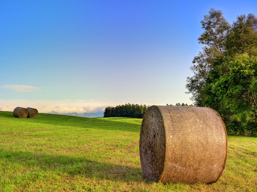 Biei, Hokkaido Japan Photograph by Photo By Johnny Ngai Biei, Hokkaido Japan Photograph by Photo By Johnny Ngai