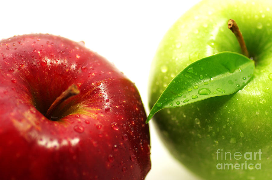 Apple Photograph - Big Apple red and green by Tanja Riedel