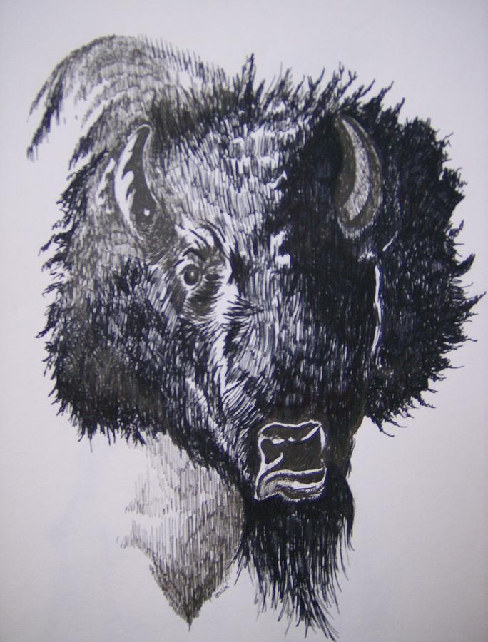 Big Bad Buffalo Drawing by Leslie Manley