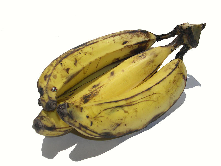 Big Bananas Photograph