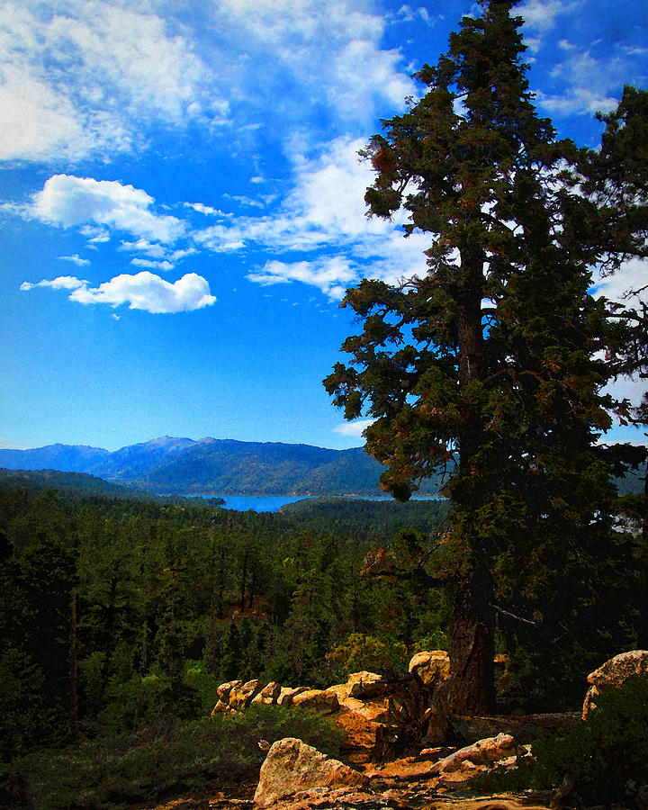 Big Bear Valley Photograph by Timothy Bulone