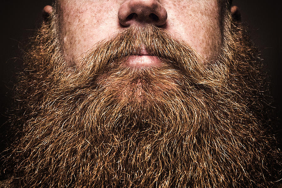 Big Bearded Man Portrait Photograph by RyanJLane