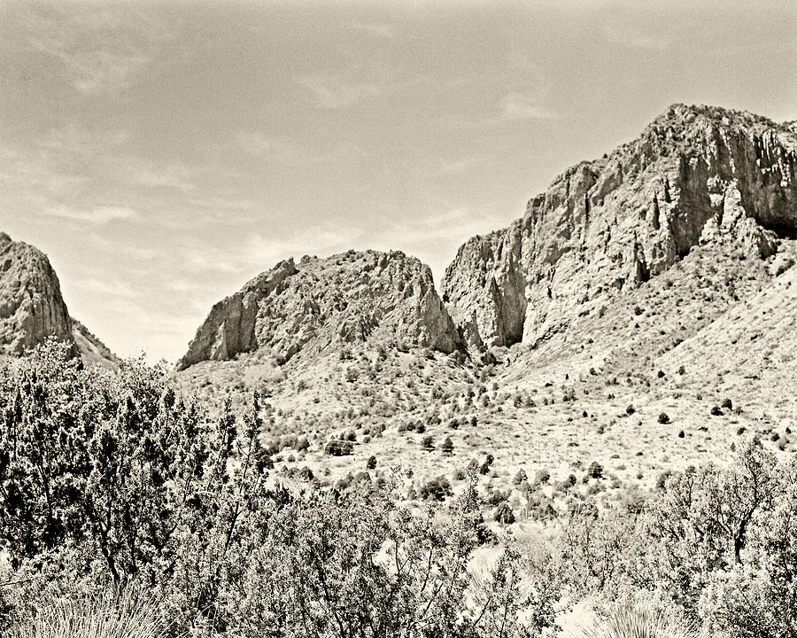 Big Bend National Park in Sepia Tone Color Photograph by M K Miller