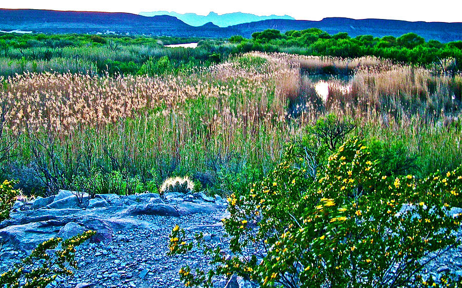 Big Bend Wetland near Rio Grande Village in Big Bend National Park-Texas Photograph by Ruth Hager