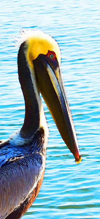 Pelican Painting - Big Bill - Pelican Art By Sharon Cummings by Sharon Cummings