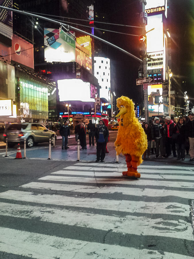 Big Bird on Times Square Photograph by Scott Campbell
