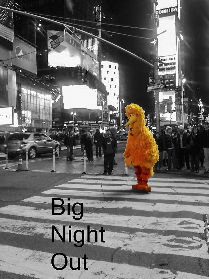 Big Birds Big Night Out in NYC Black and White Photograph by Scott Campbell
