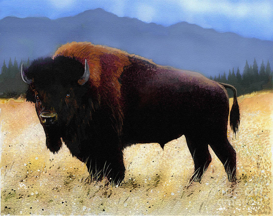 Buffalo Painting - Big Bison by Robert Foster