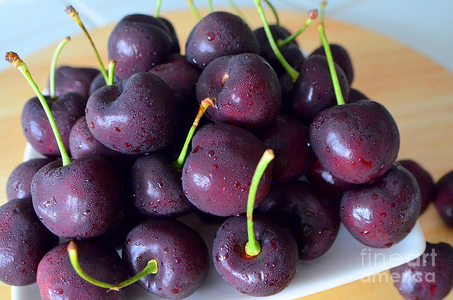 Big Black Bing Cherries Photograph by Mary Deal