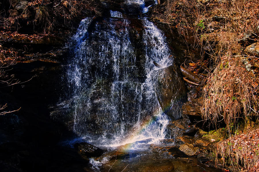 Waterfall Photograph - Big Bradley Falls 5 by Flees Photos