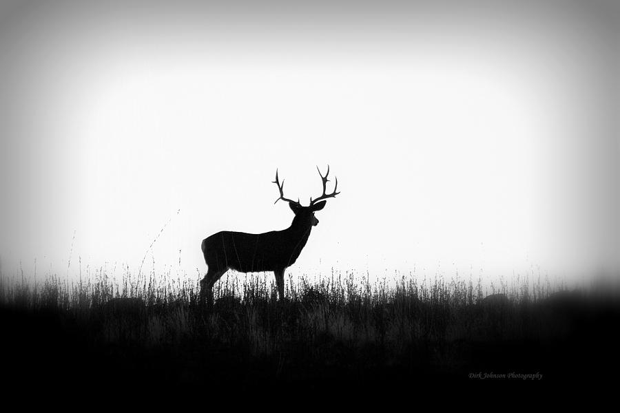 Big Buck On The Ridge Photograph by Dirk Johnson