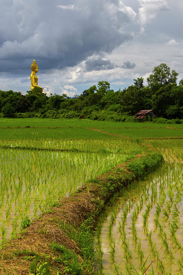 Big Buddha In Tambon Bua Sali Photograph by Jean-claude Soboul