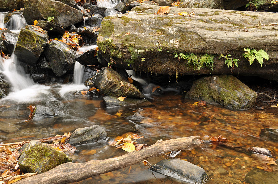 Big Crabtree Creek near the Blue Ridge Parkway Photograph by Bruce Gourley