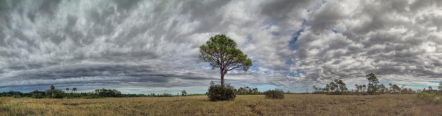Big Cypress, Florida Photograph by Rudy Umans