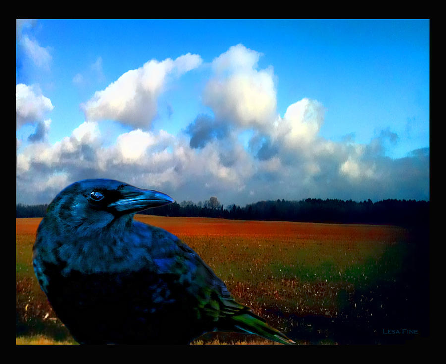Crow Photograph - BIG DADDY CROW SERIES Silent Watcher by Lesa Fine