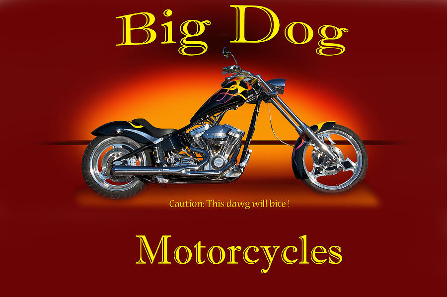 Big Dog Motorcyle with Identification Photograph by Dave Koontz