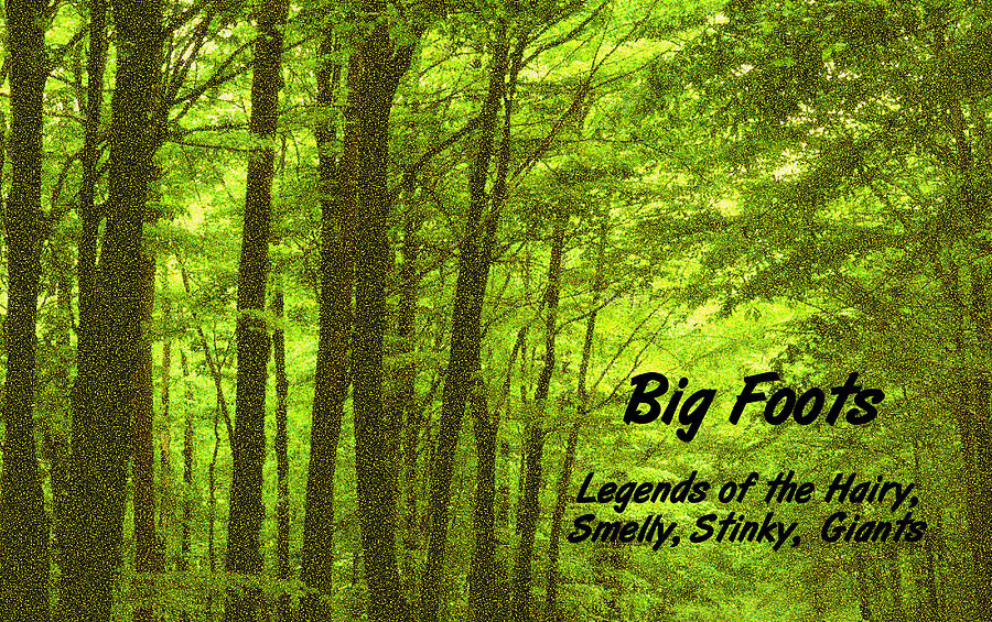 Big Foots Full Book Cover 3 Photograph by Bruce IORIO
