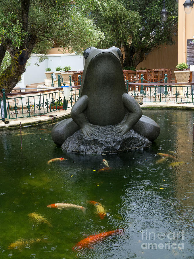 Greek Photograph - Big frog little pond by Gillian Singleton
