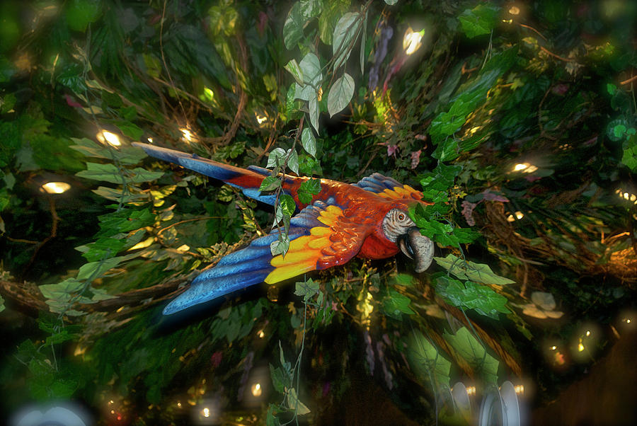 Animal Photograph - Big Glider Macaw Digital Art by Thomas Woolworth