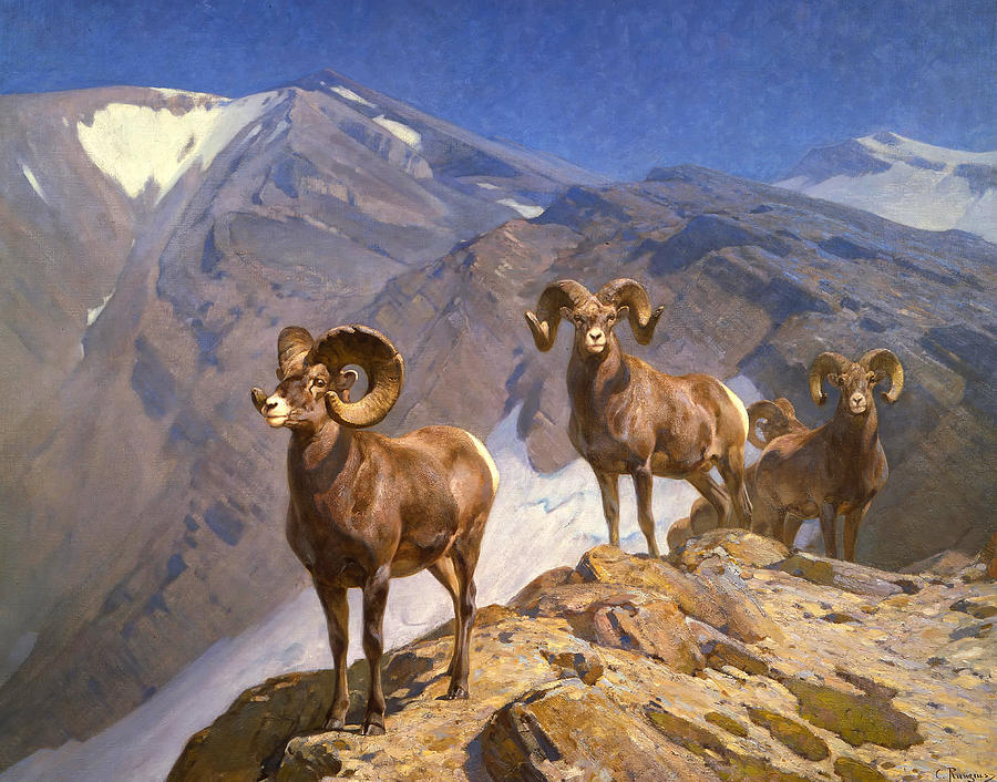 Big Horn Sheep on Wilcox Pass Painting by Mountain Dreams