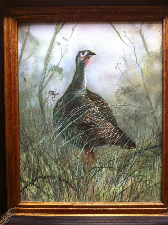 Wildlife Painting - Big Island Turkey by David Kelly