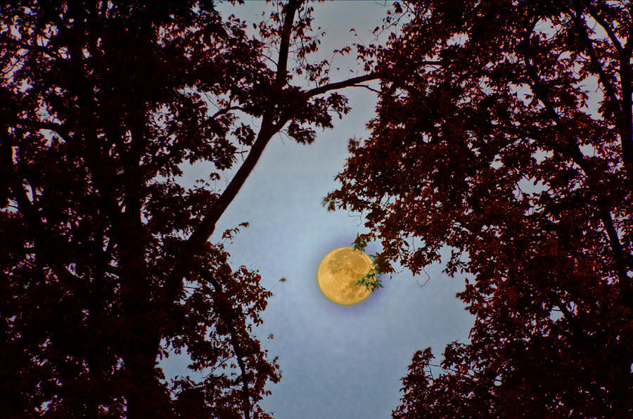 Big Old Autumn Moon Photograph by Bill Cannon