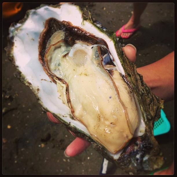 Oyster Photograph - Big Oyster #oyster by Shirly Sham