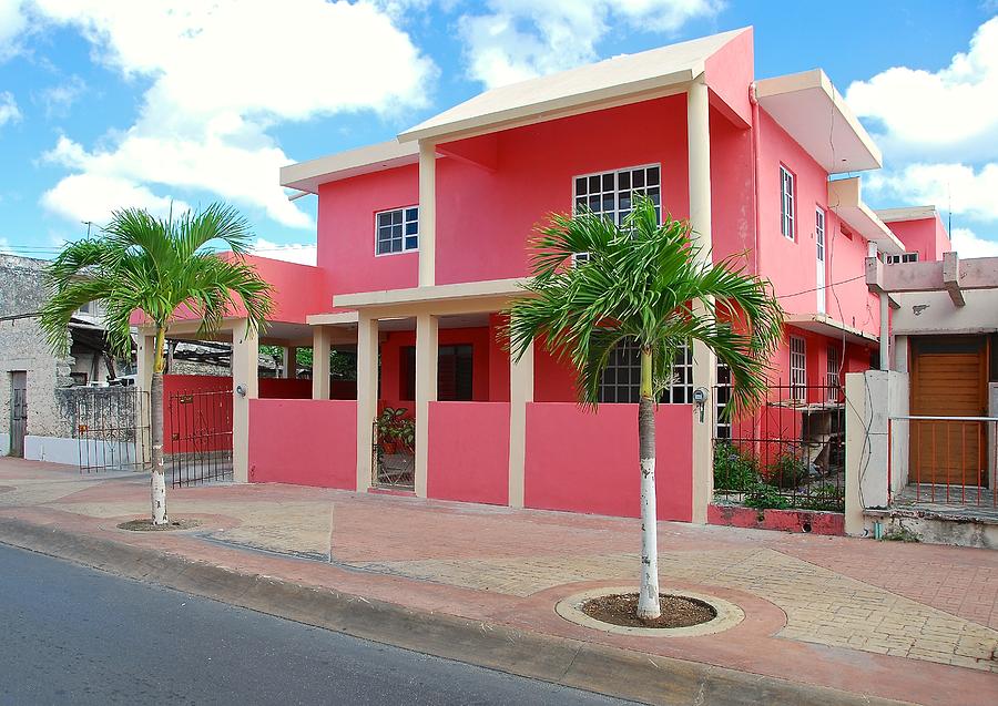 Big Pink Cozumel Mexico Photograph by David Coleman - Pixels