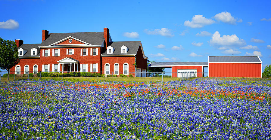 Big Red House on Bluebonnet Hill Photograph by Lynn Bauer