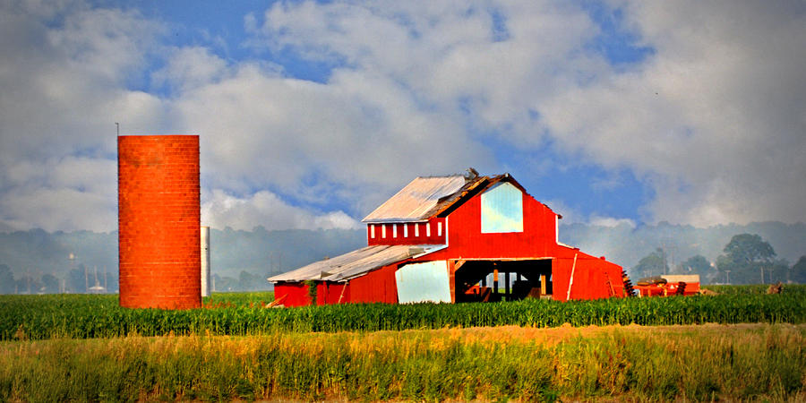 Barn Photograph - Big Red Long by Marty Koch