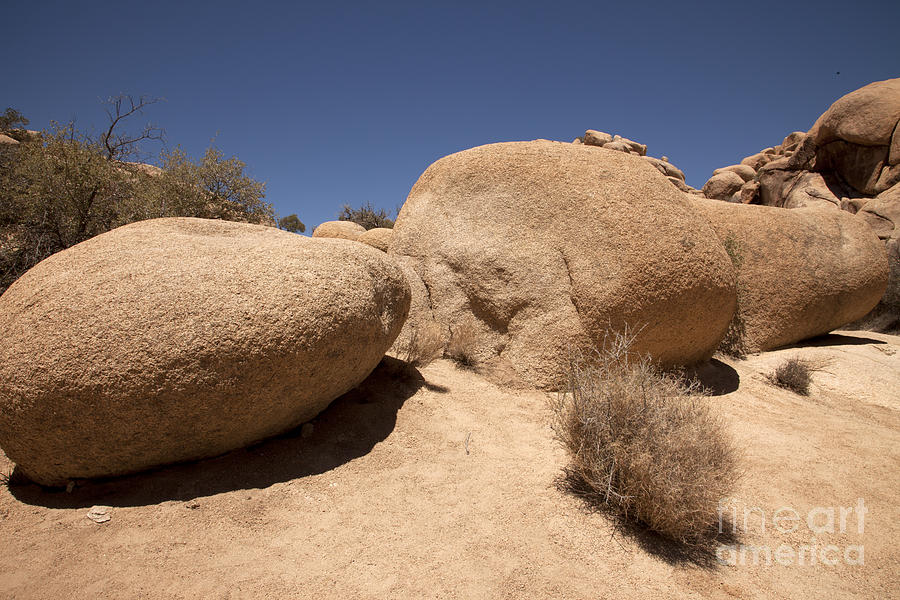 Desert Photograph - Big Rock by Amanda Barcon