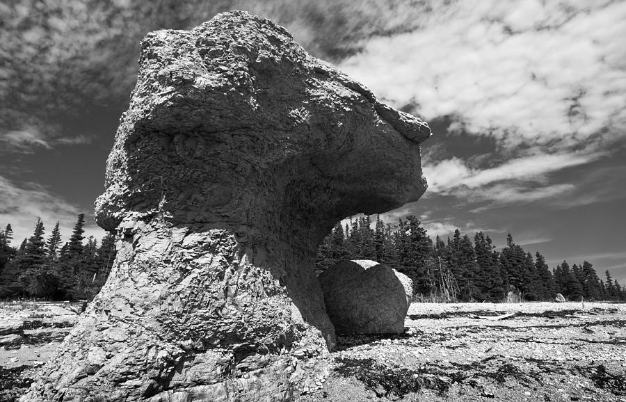 Big rock head Photograph by Arkady Kunysz
