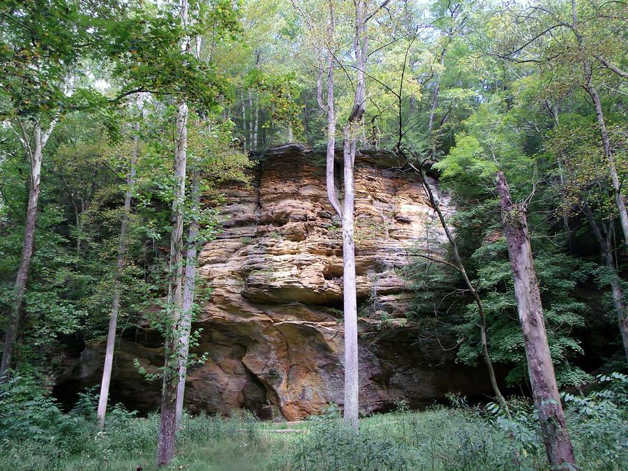 Big Rock in the Woods Photograph by Wendy Gertz