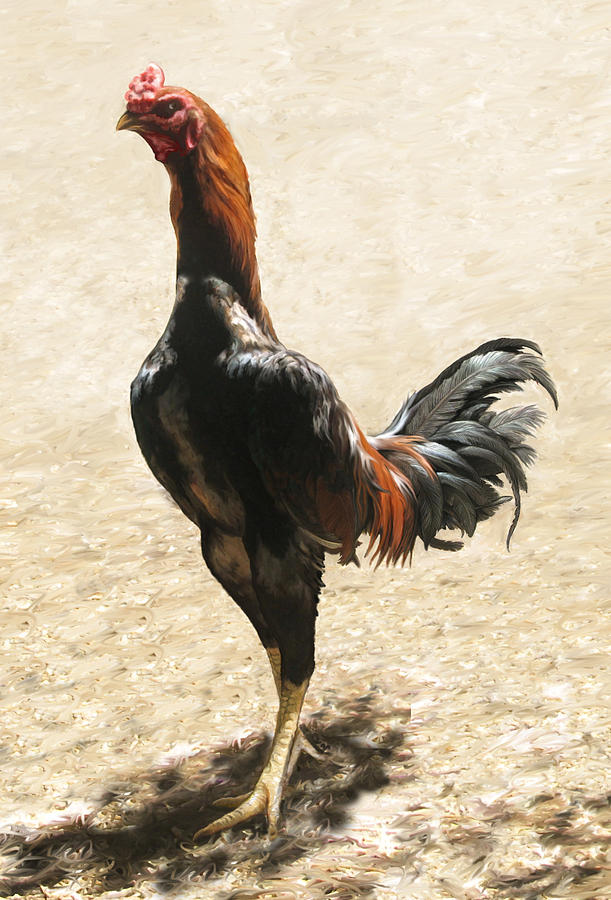 Rooster Painting - Big Rooster by Lonnie C Tapia