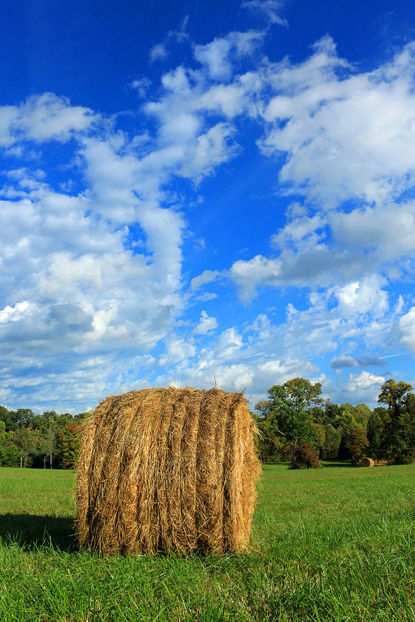 Big Round Hay Bale Photograph by Lorna Rose Marie Mills DBA  Lorna Rogers Photography