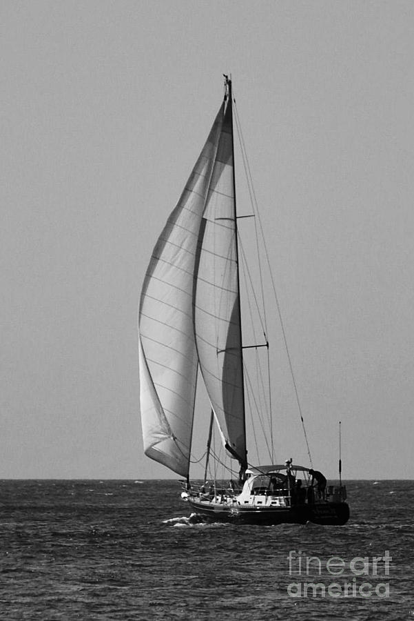 Big Sails In Black And White Photograph by Bob Sample