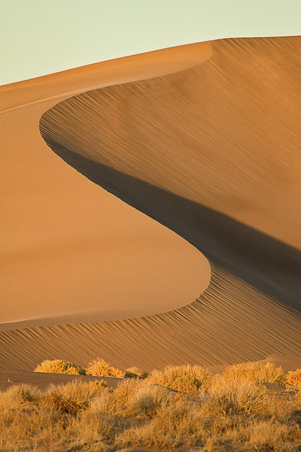Big Sand Dune Photograph by Alice Cahill