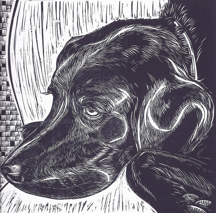 Labrador Retriever Drawing - Big Shiny Head by Jennifer Harper